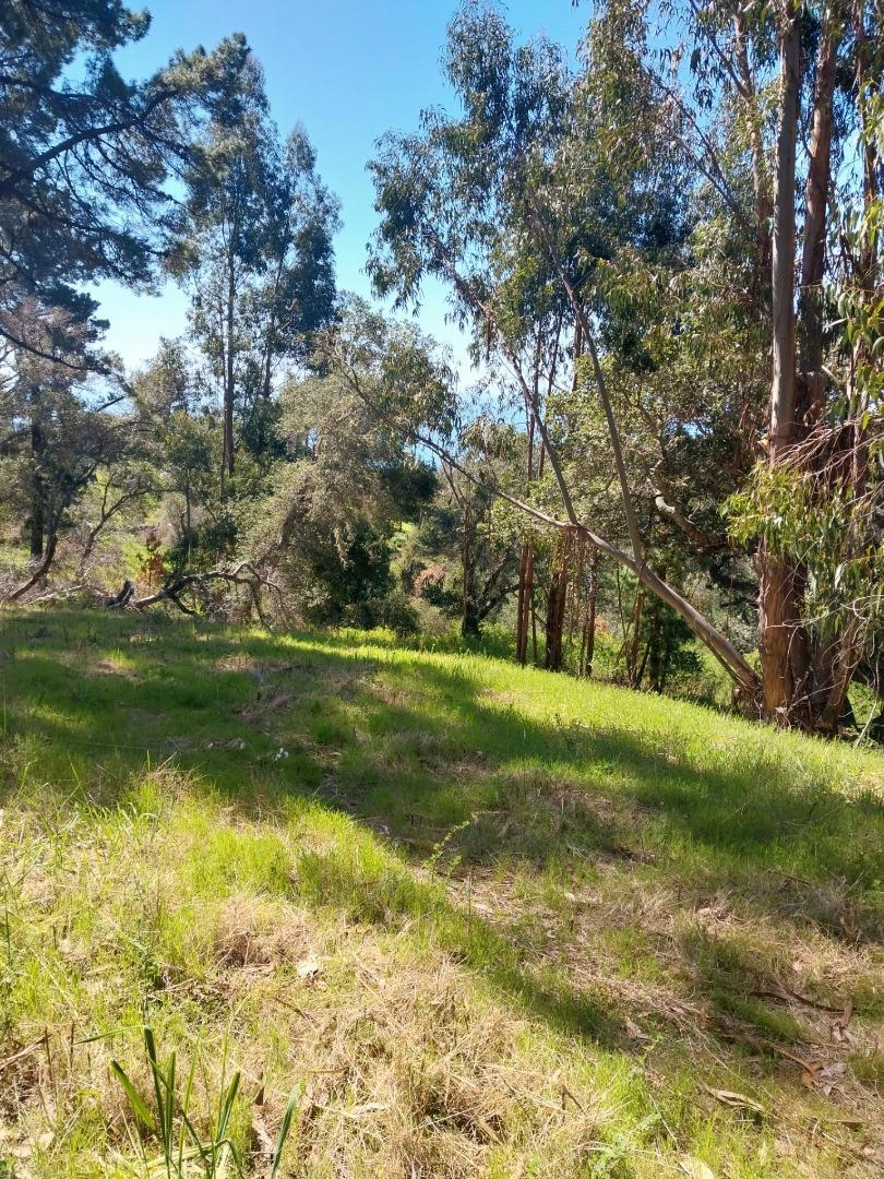 8 E Coastlands Property Photo 8