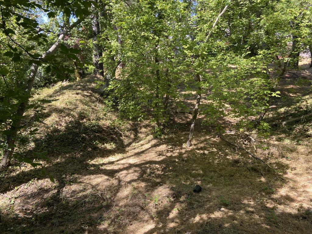 0 Vine Hill School Road Property Photo 4