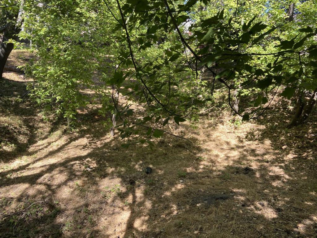 0 Vine Hill School Road Property Photo 6