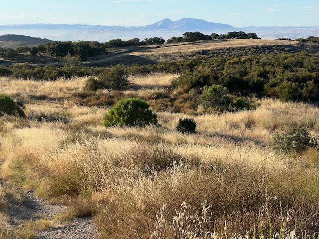 0 Pine Canyon Road Property Photo 4