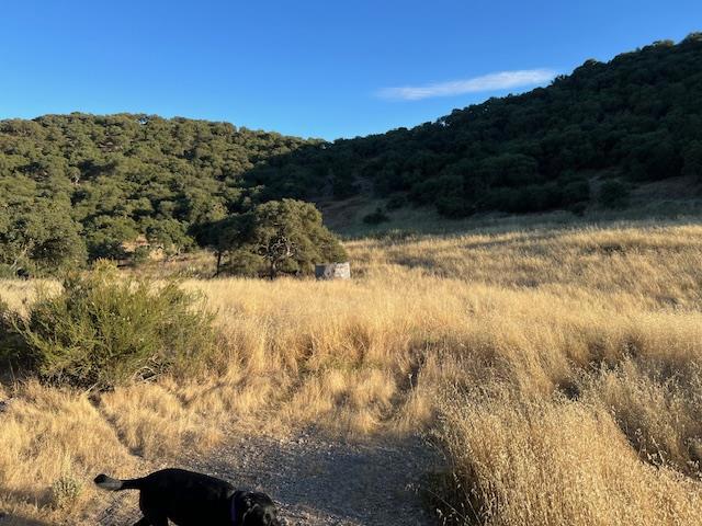 0 Pine Canyon Road Property Photo 5