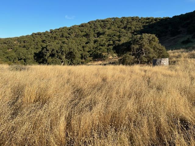 0 Pine Canyon Road Property Photo 6