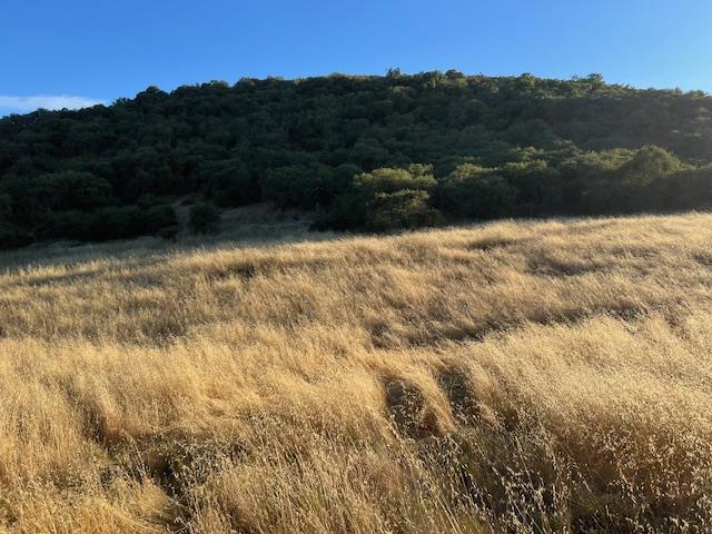 0 Pine Canyon Road Property Photo 7