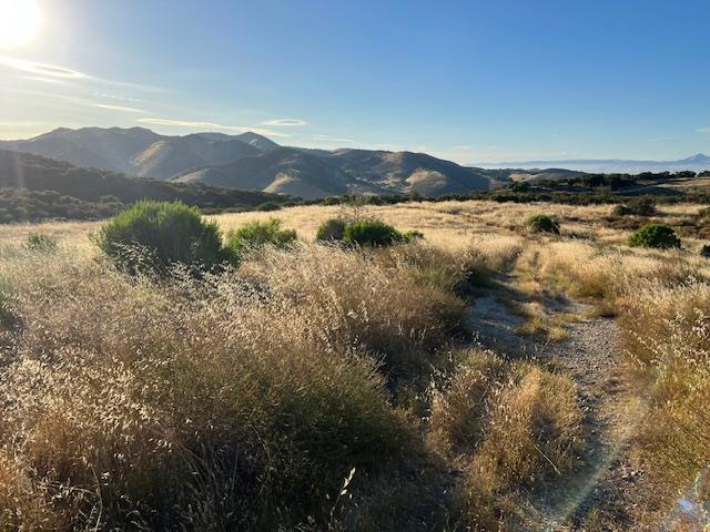 0 Pine Canyon Road Property Photo 8