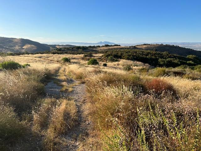 0 Pine Canyon Road Property Photo 9