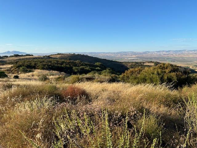 0 Pine Canyon Road Property Photo 10