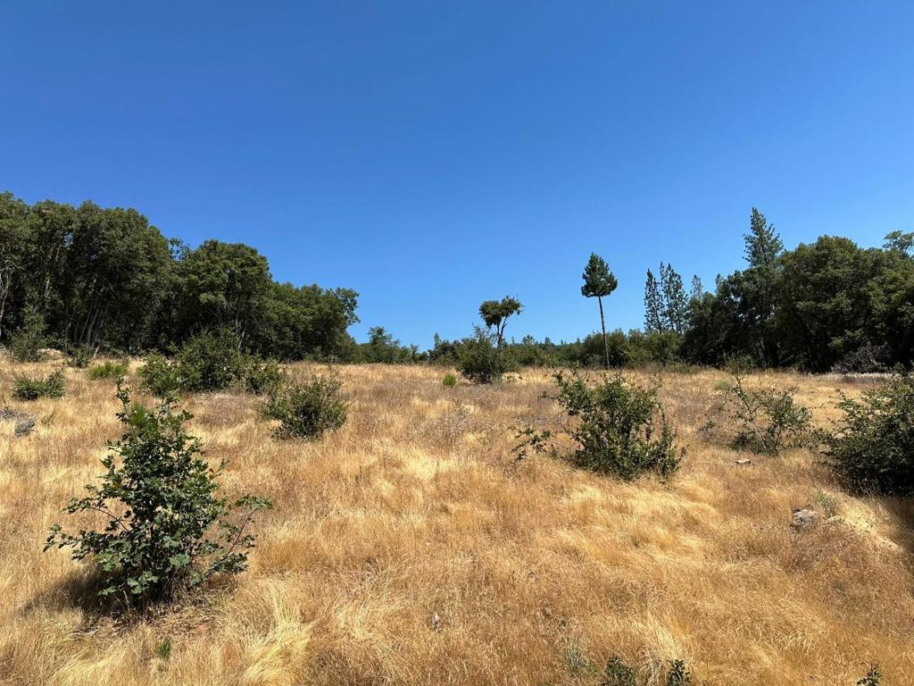 0 W Laikam Lane Property Photo 10