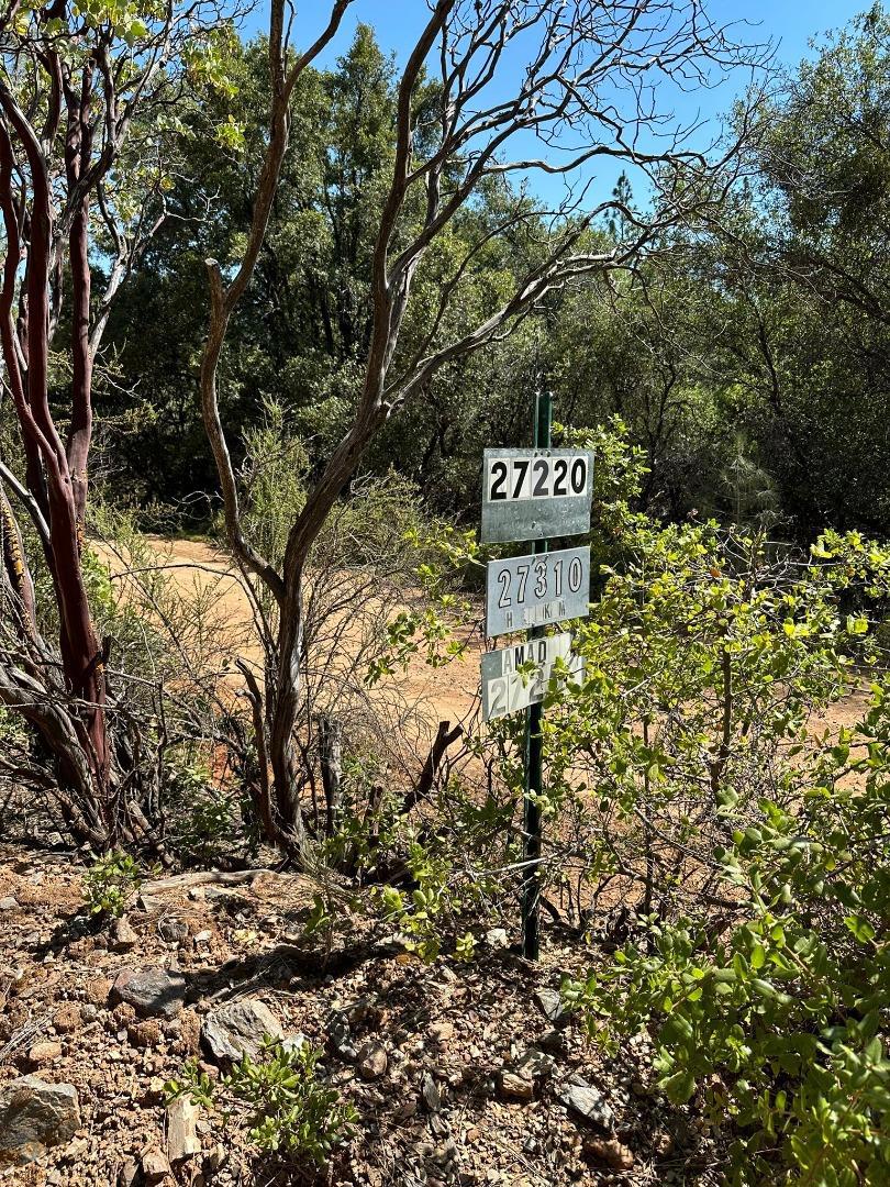 0 W Laikam Lane Property Photo 13
