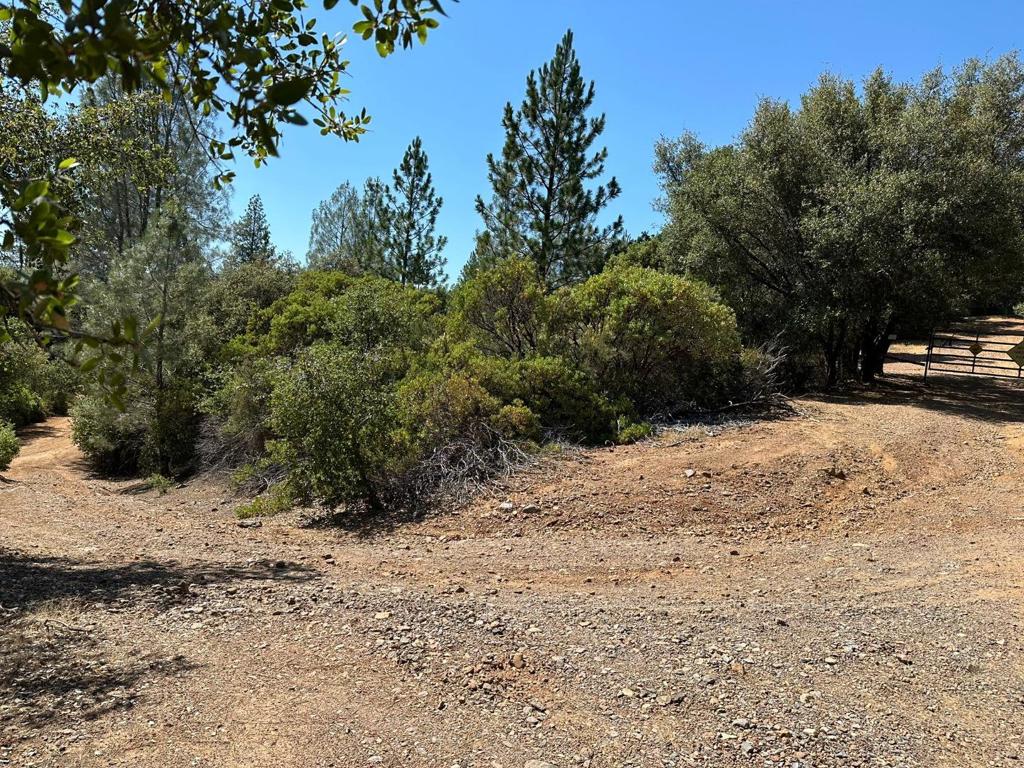 0 W Laikam Lane Property Photo 16
