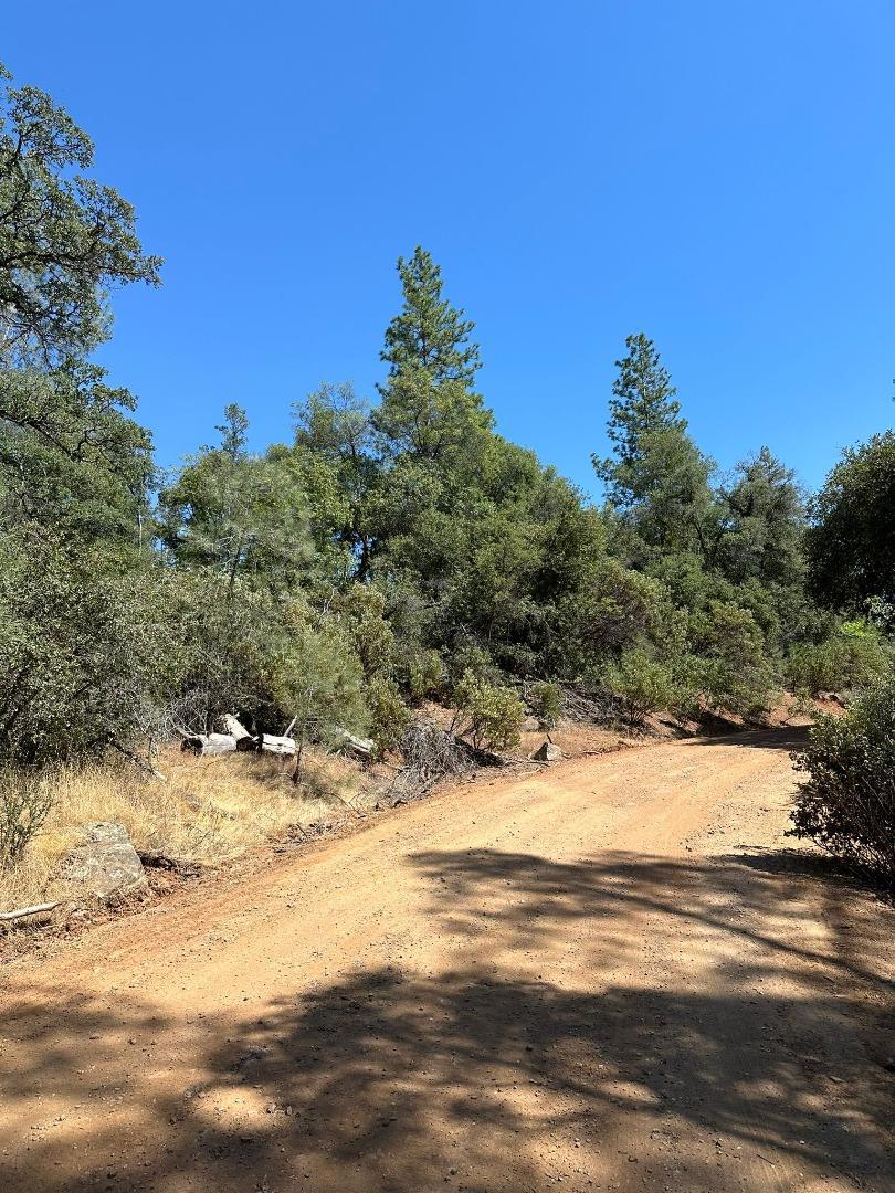 0 W Laikam Lane Property Photo 17