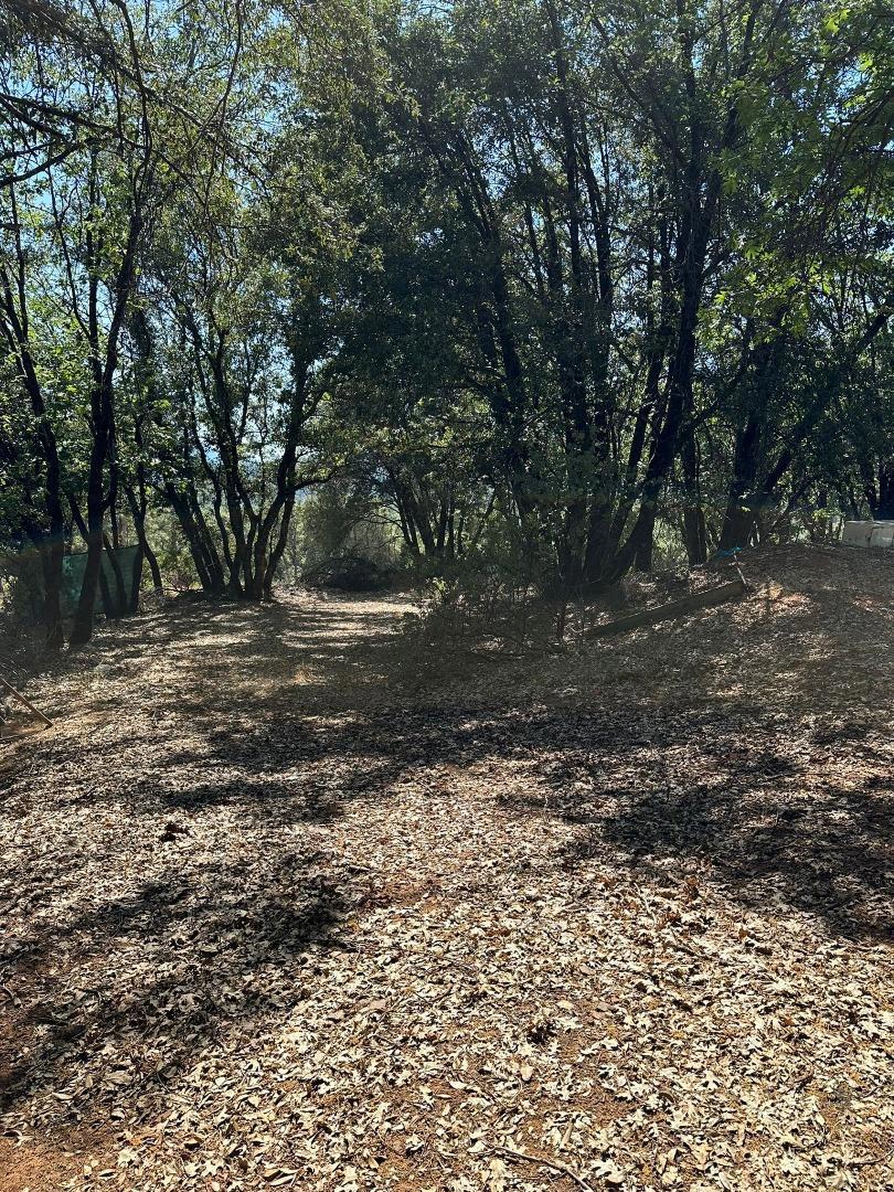 0 W Laikam Lane Property Photo 18