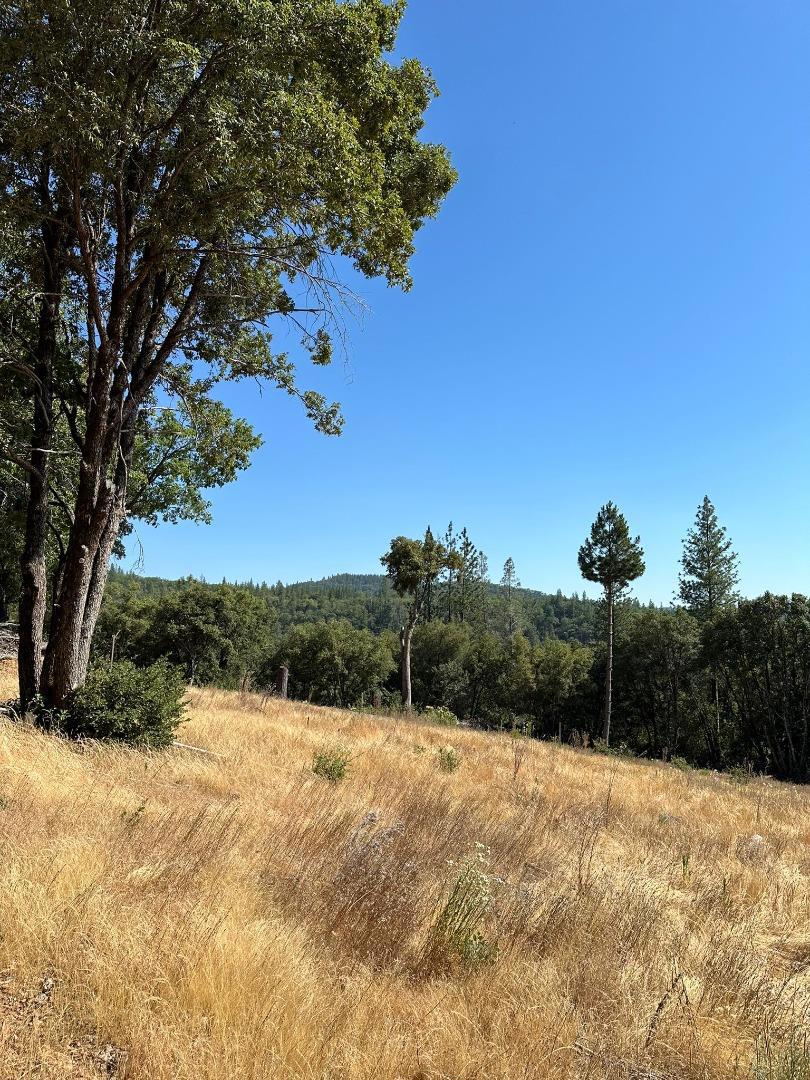0 W Laikam Lane Property Photo 19