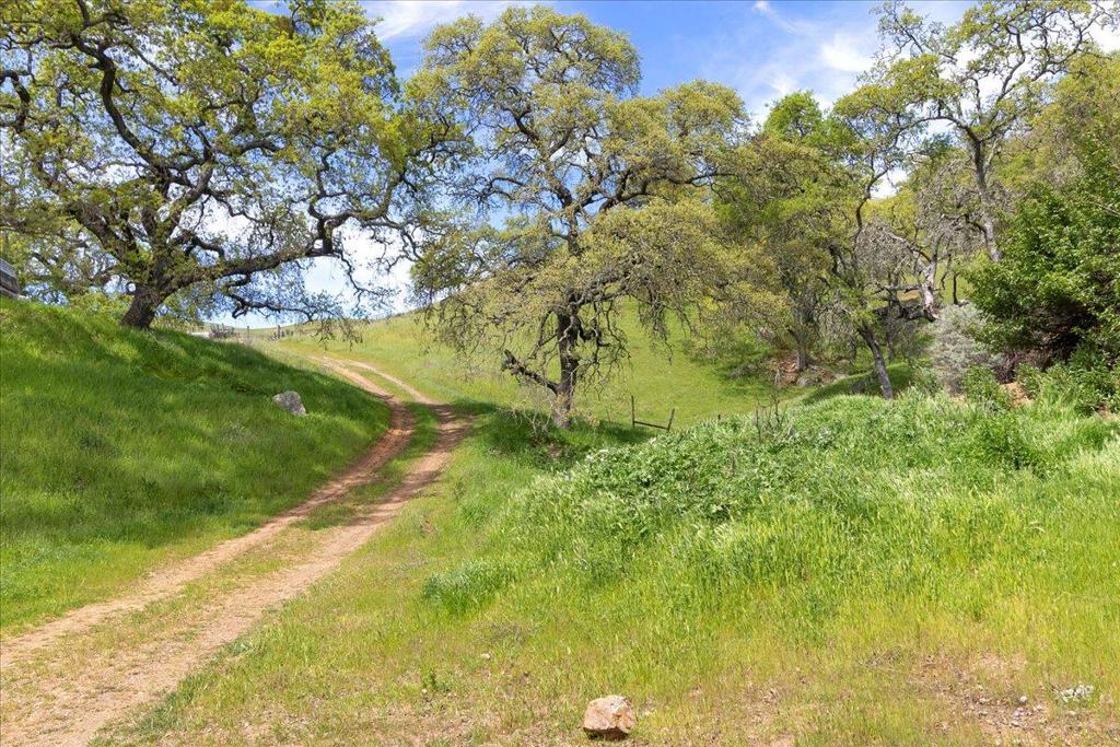 0 Mt Hamilton Property Photo 9