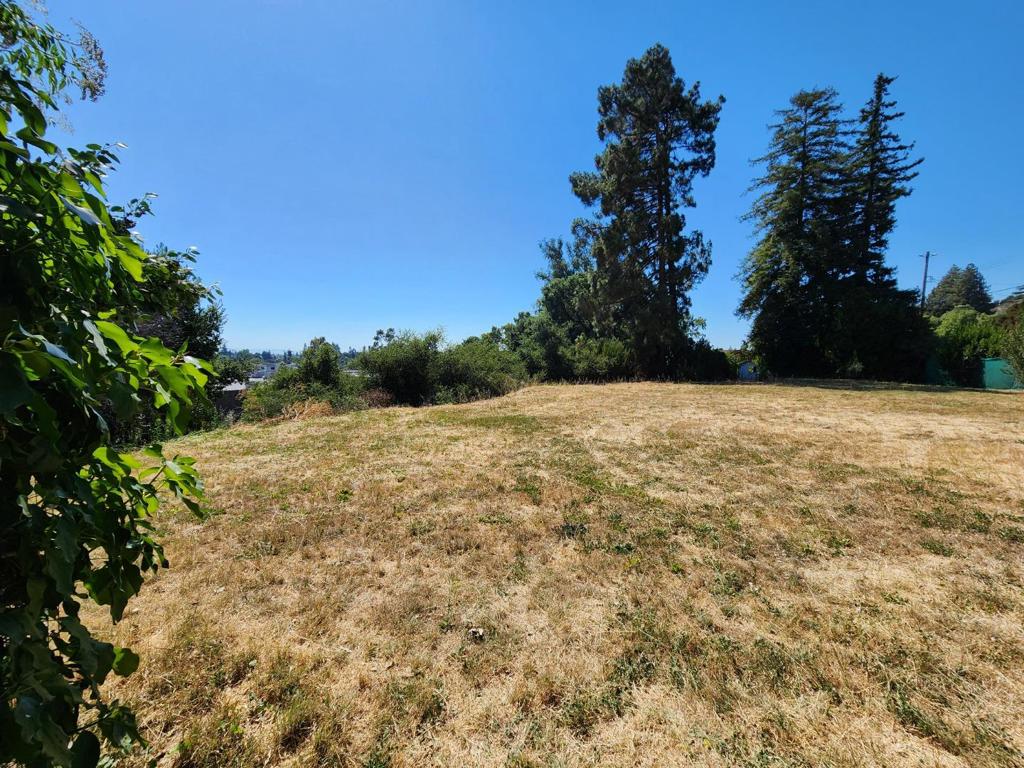 0 Birch Street Property Photo 1
