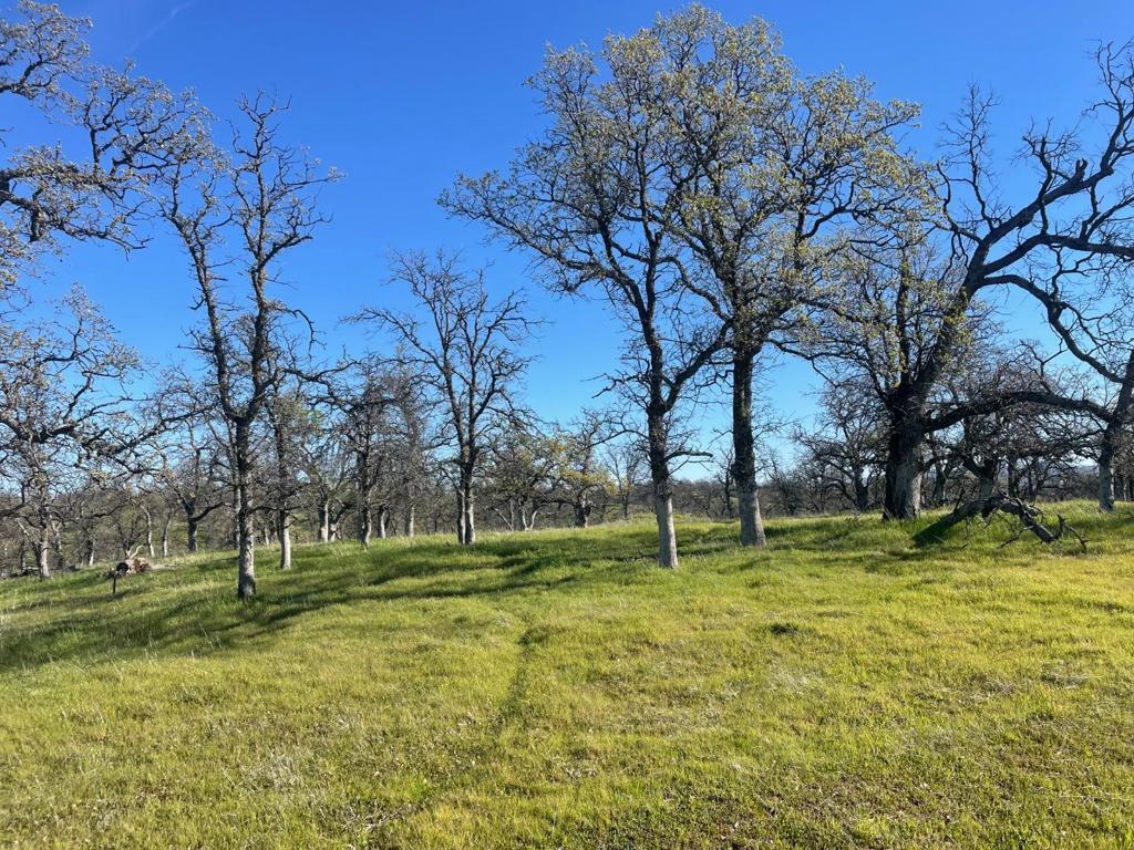 108 Lot 8 Of Tract No.91-1002 Lane Property Photo 1