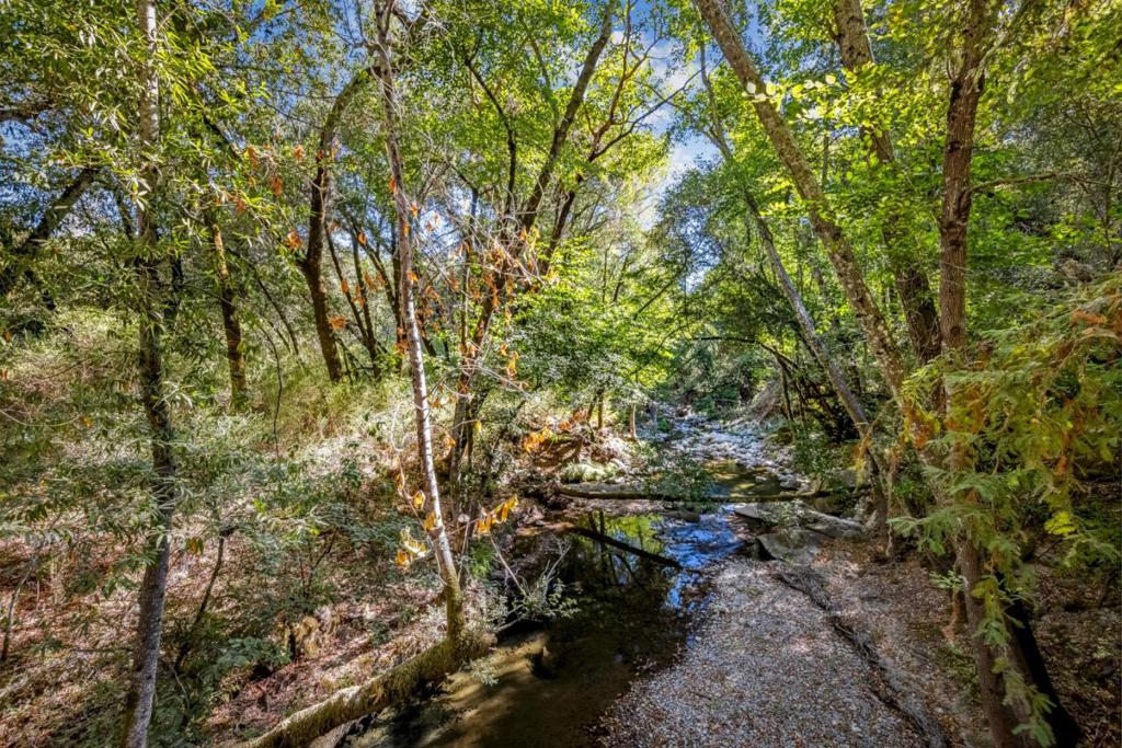 6787 Croy Road Property Photo 2
