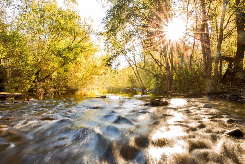 8100 Valley Greens Drive - Lot 1 Property Photo 7