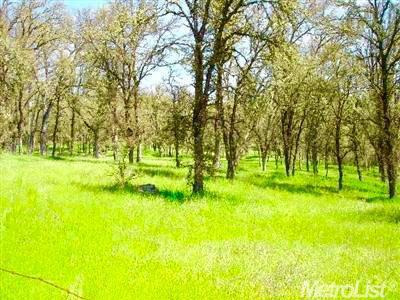 0 Grassy Run Road Property Photo