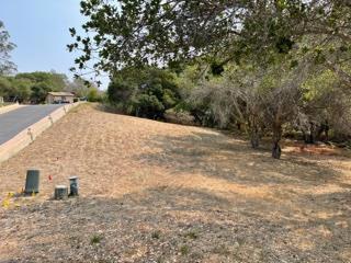 7190 Azzelio Way Property Photo 4