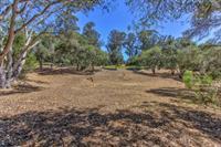 7190 Azzelio Way Property Photo 7