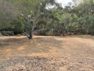 7190 Azzelio Way Property Photo 8