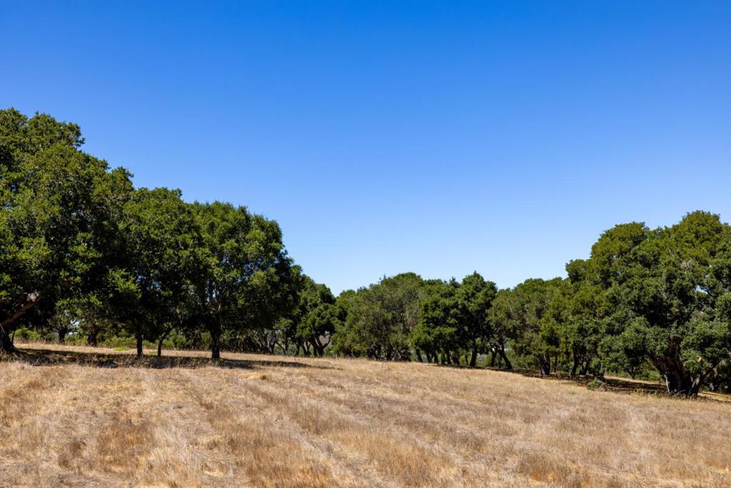 8160 Manjares Property Photo 8
