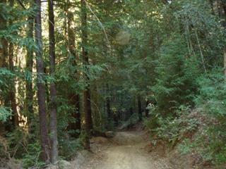 0 Bear Creek Road Property Photo 1