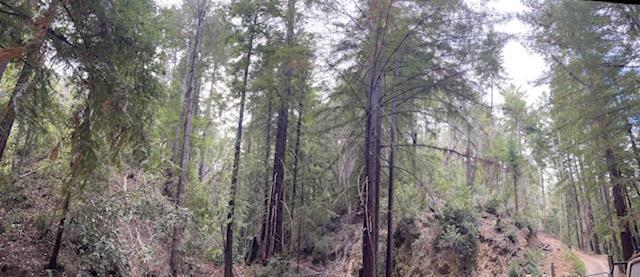 0 Bear Creek Road Property Photo 2