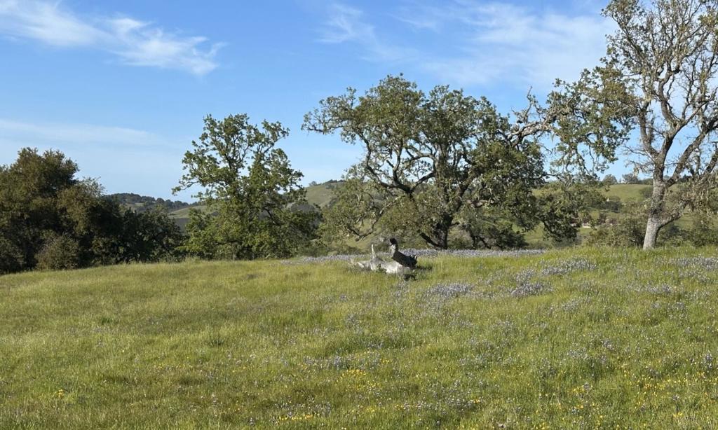 8 Touche Property Photo 17