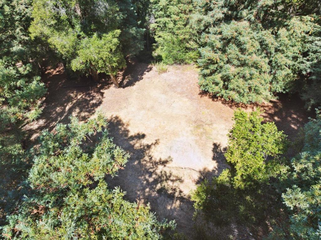 18880 Highway 9 Property Photo 2