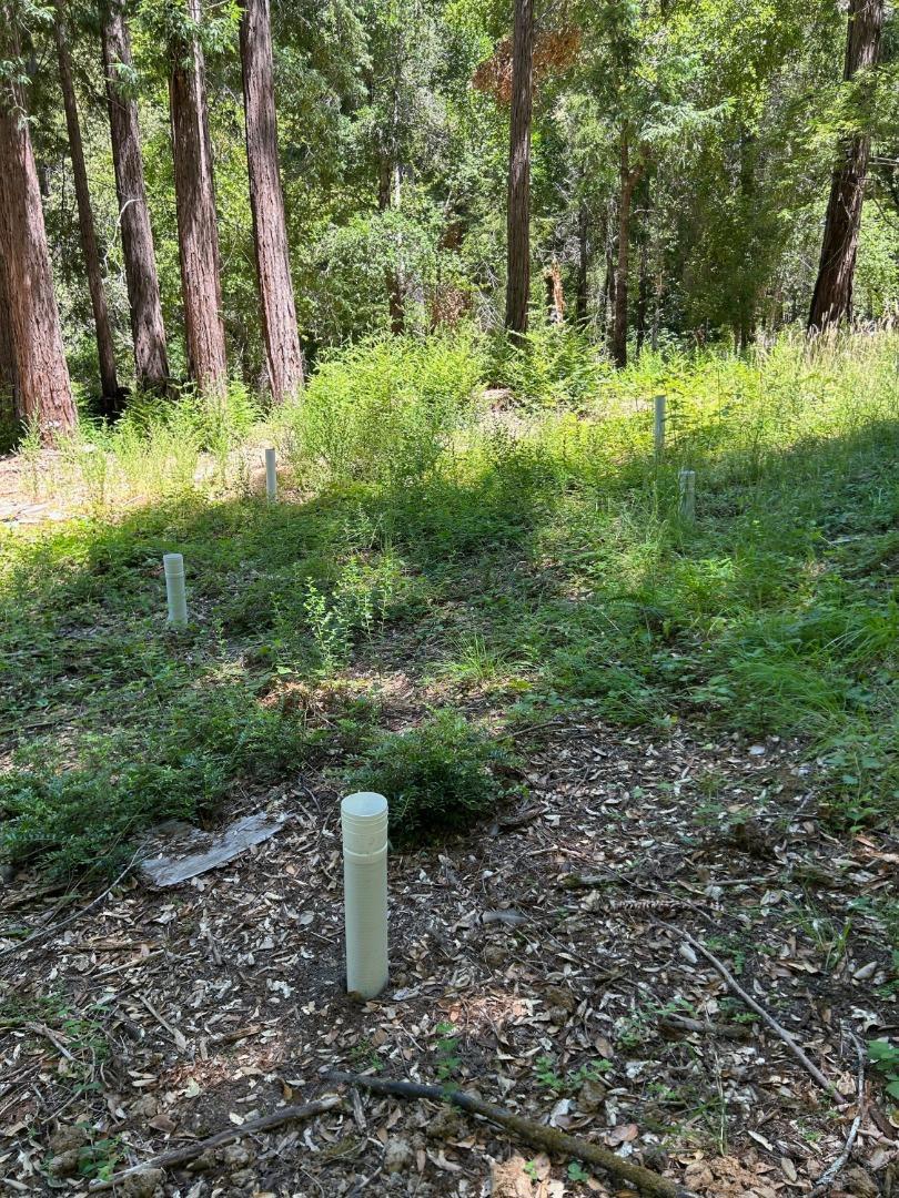 18880 Highway 9 Property Photo 4