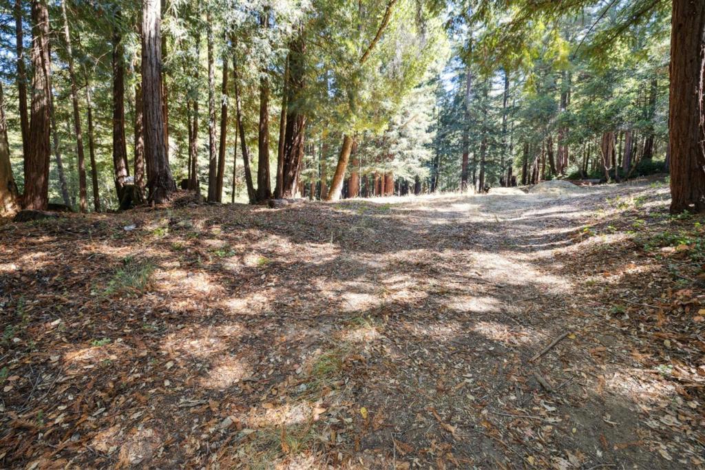 18880 Highway 9 Property Photo 5