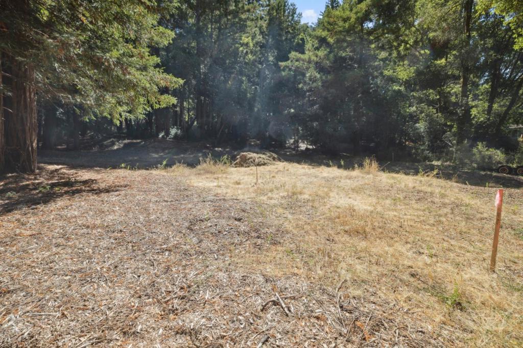 18880 Highway 9 Property Photo 6