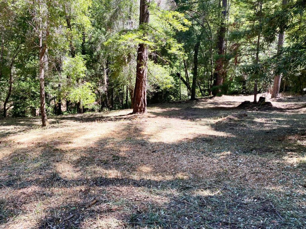 18880 Highway 9 Property Photo 7
