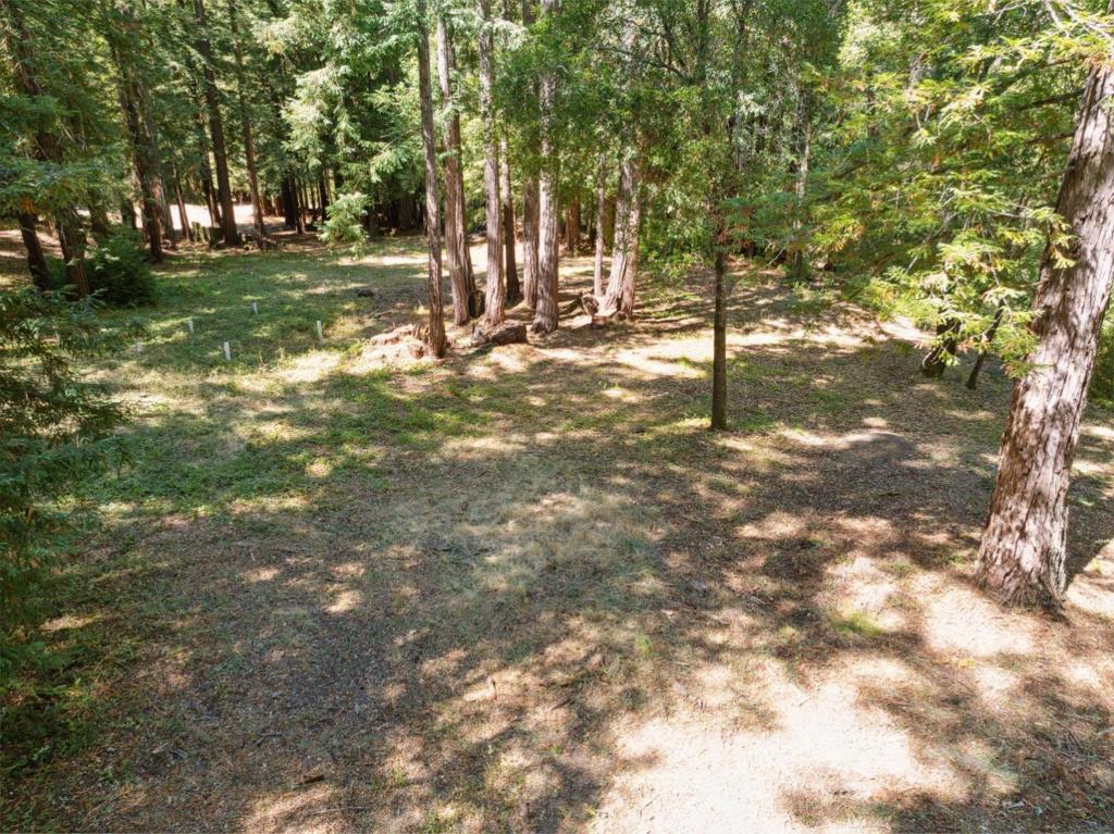18880 Highway 9 Property Photo 8