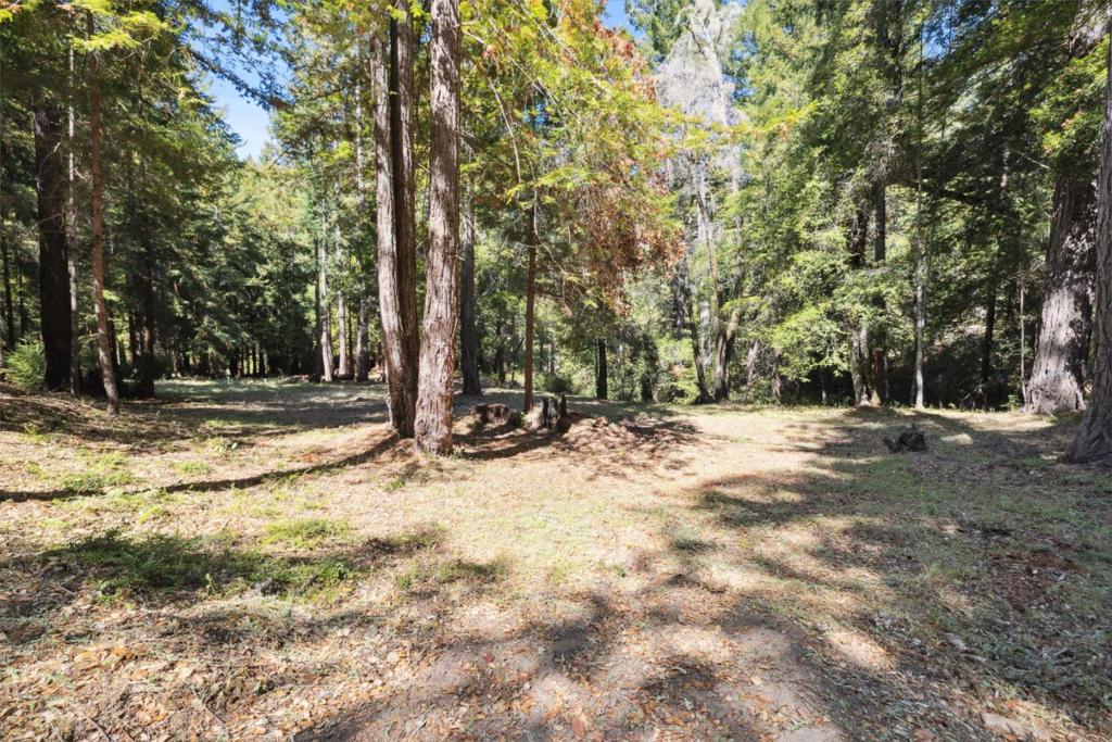18880 Highway 9 Property Photo 9