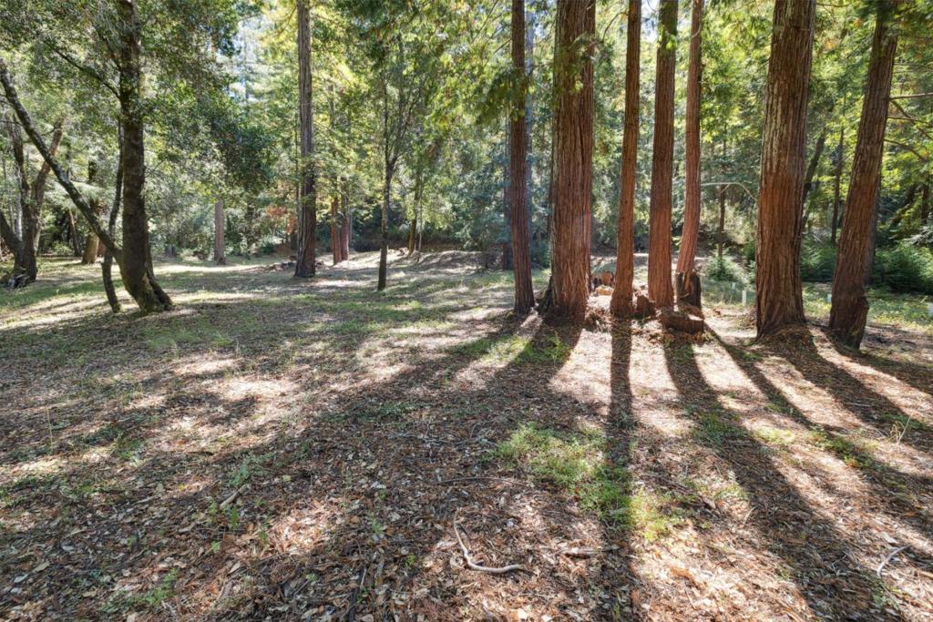 18880 Highway 9 Property Photo 10