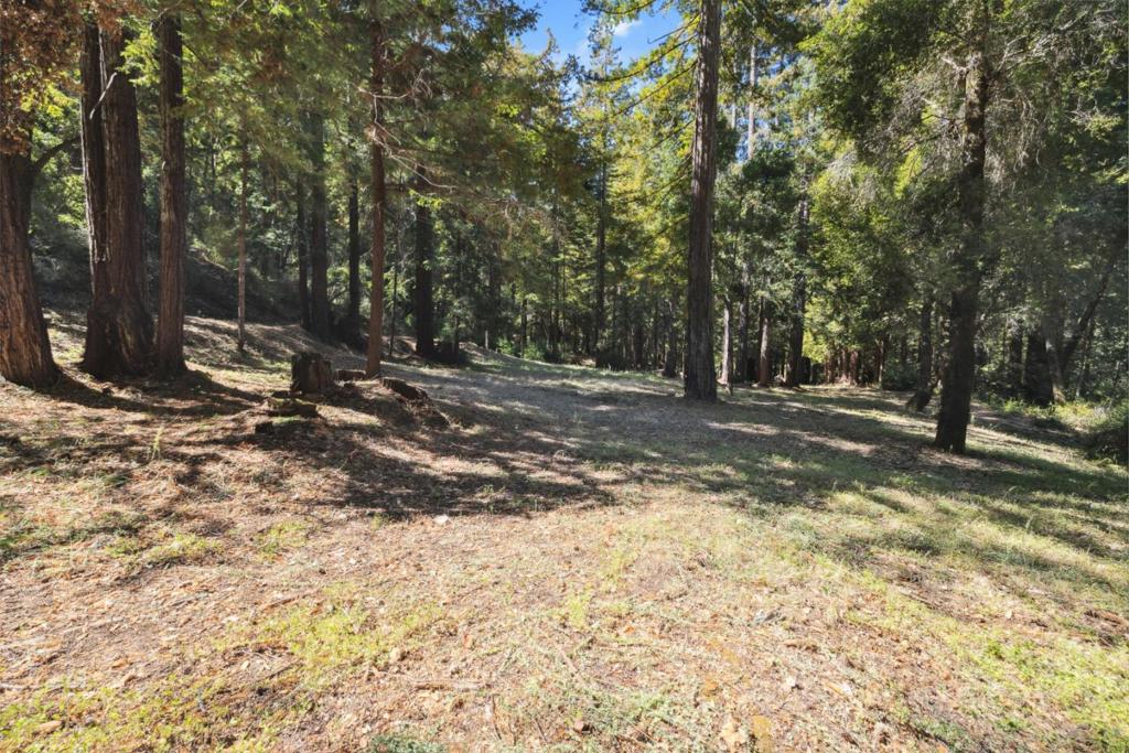 18880 Highway 9 Property Photo 11