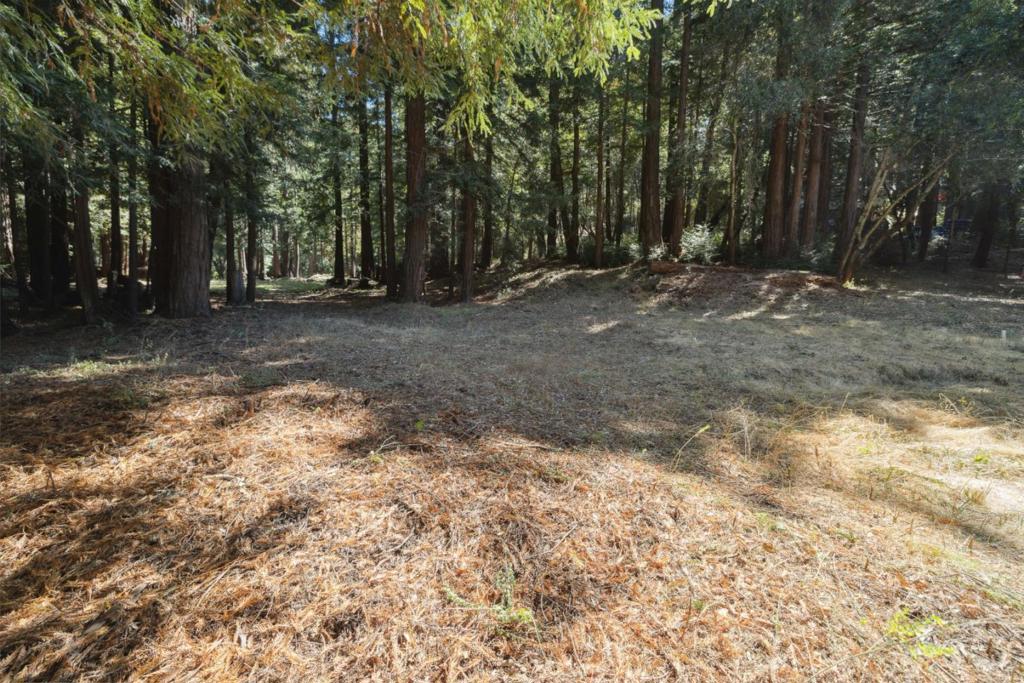 18880 Highway 9 Property Photo 12