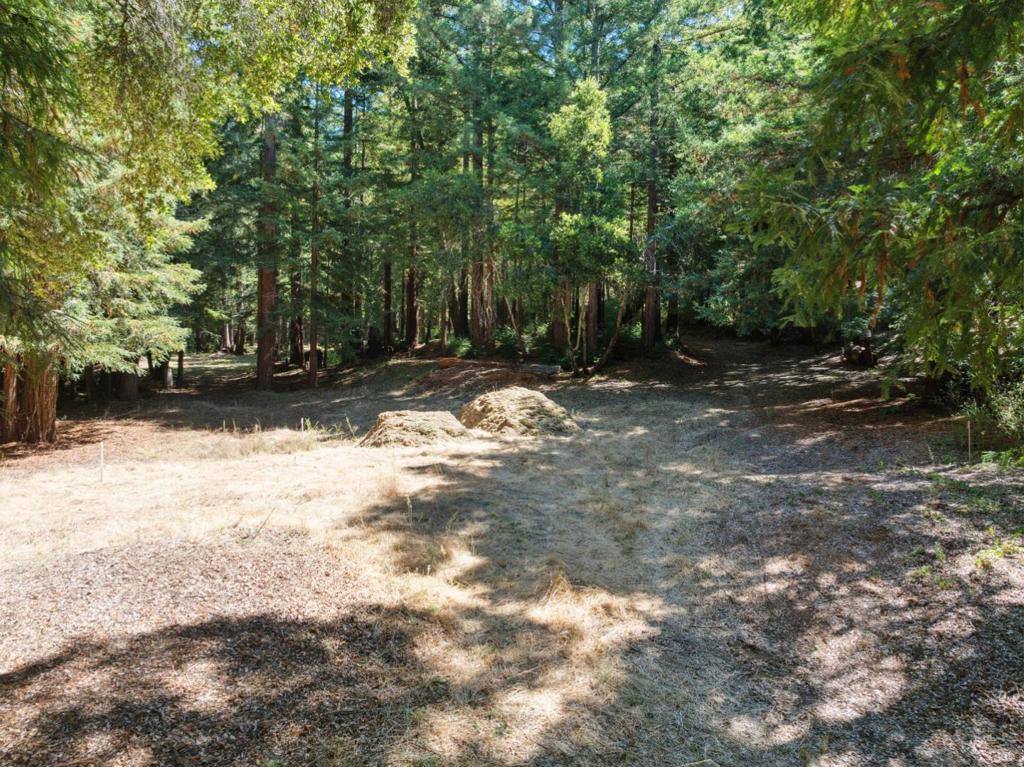 18880 Highway 9 Property Photo 13