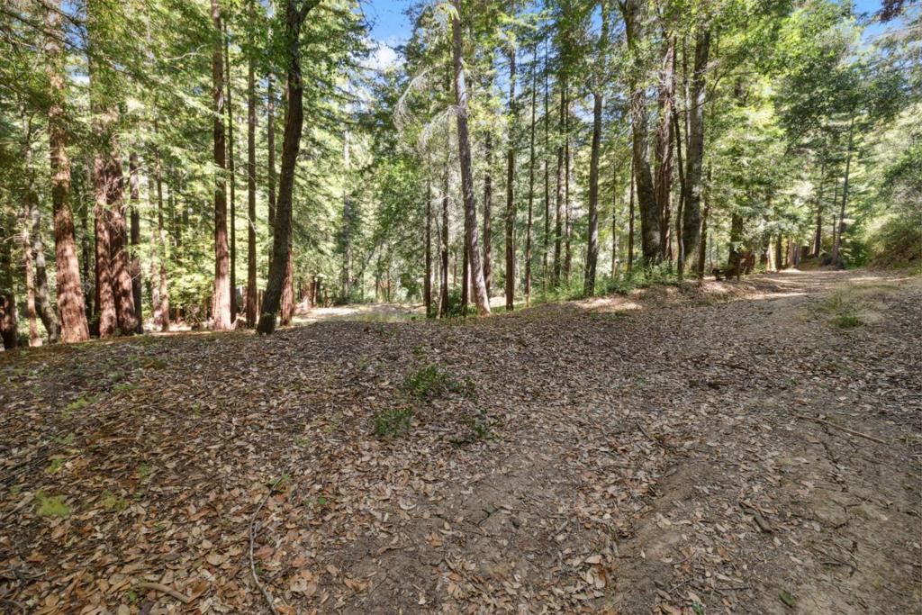18880 Highway 9 Property Photo 14