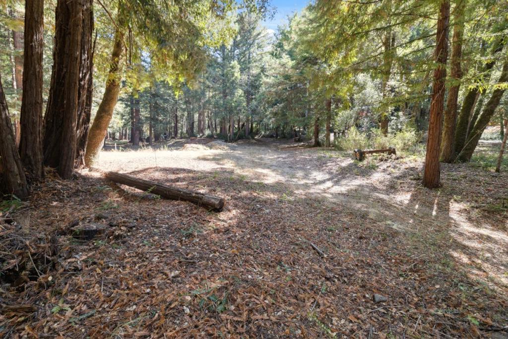 18880 Highway 9 Property Photo 15