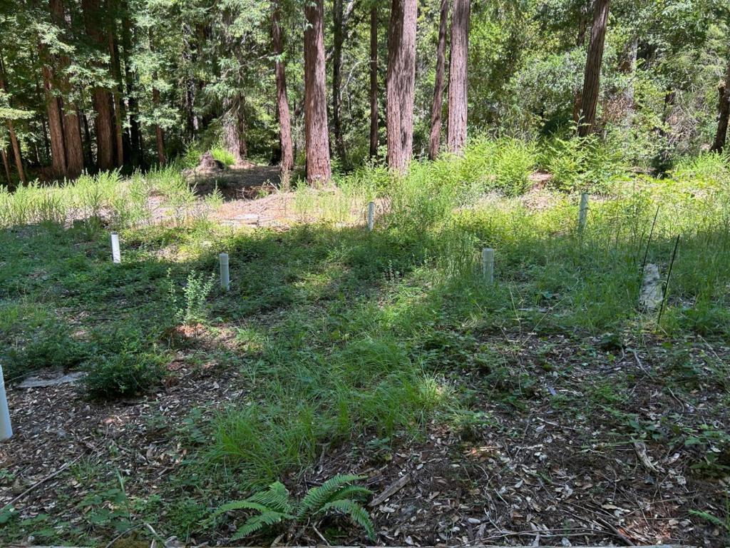 18880 Highway 9 Property Photo 17