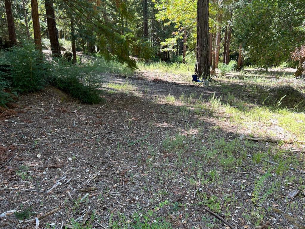 18880 Highway 9 Property Photo 18