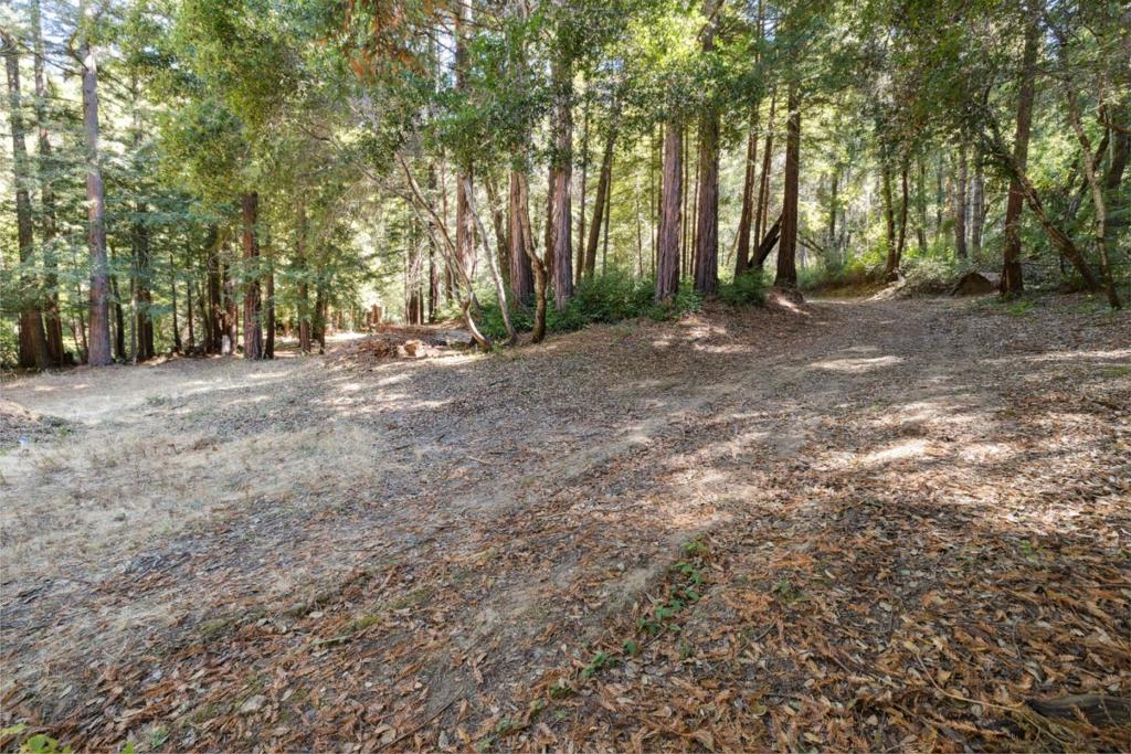 18880 Highway 9 Property Photo 19