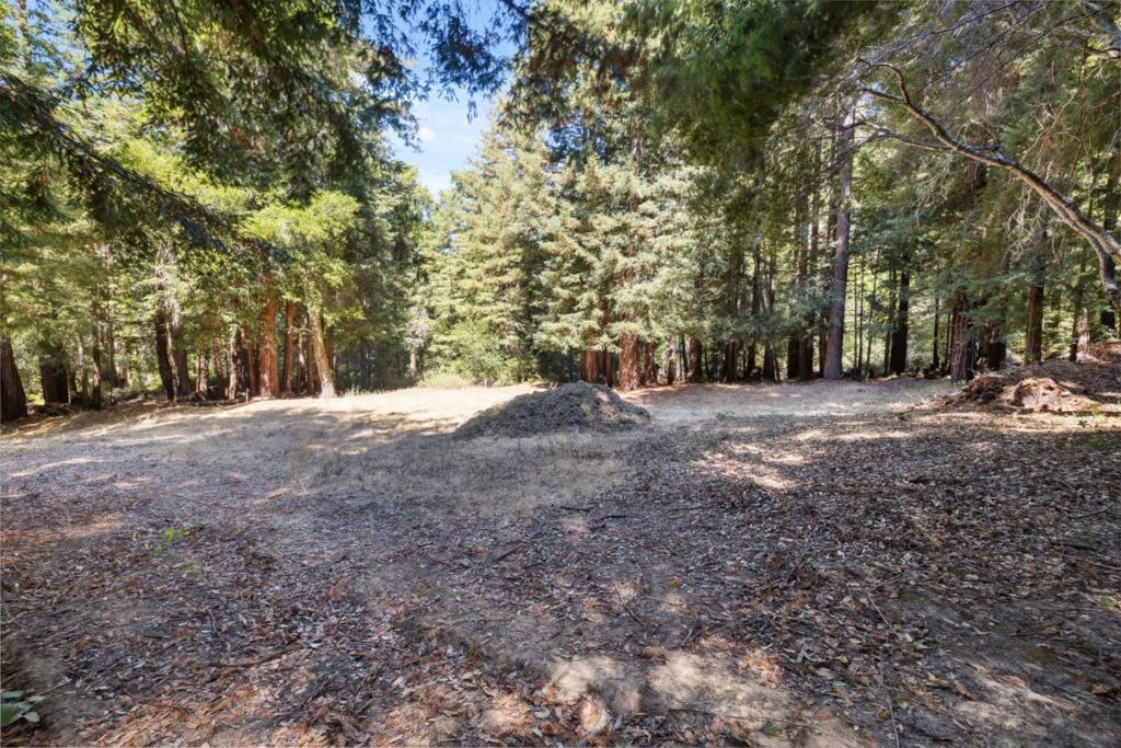 18880 Highway 9 Property Photo 20