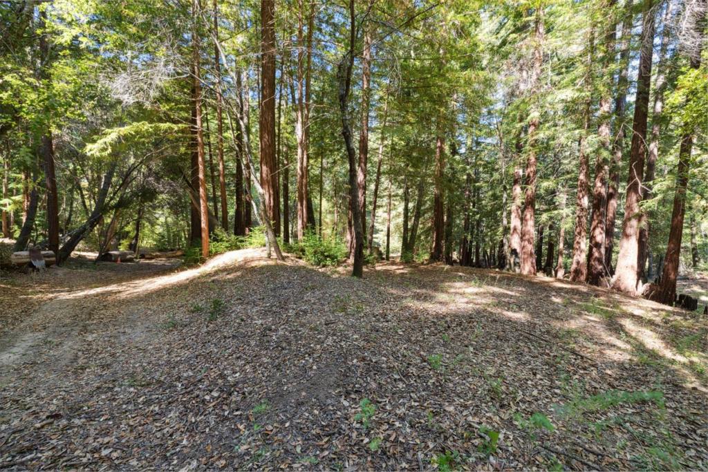 18880 Highway 9 Property Photo 21