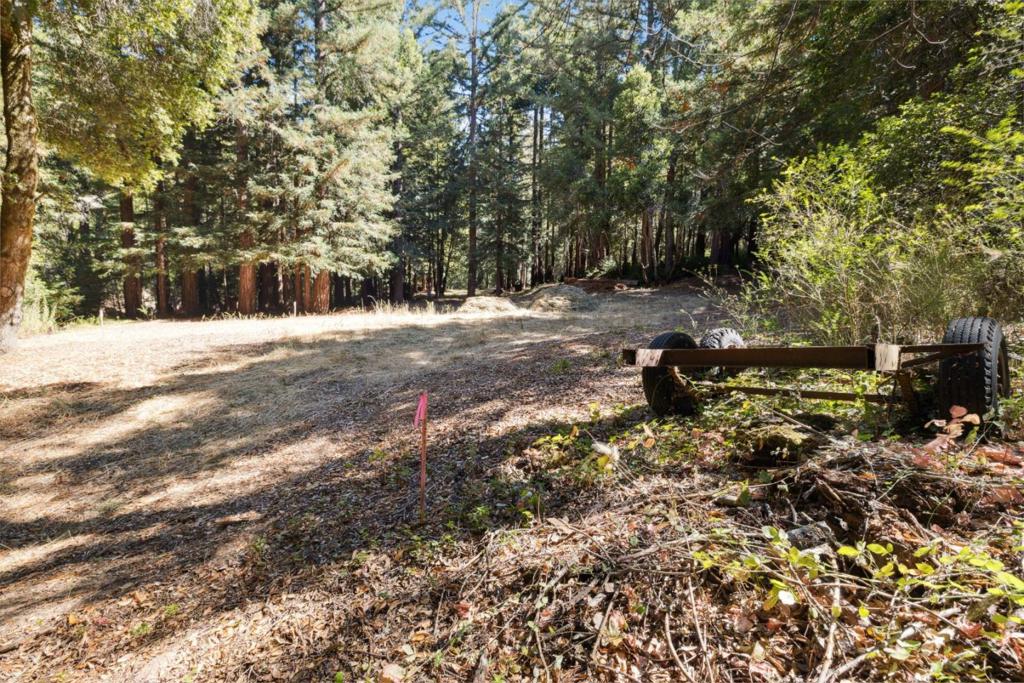 18880 Highway 9 Property Photo 24