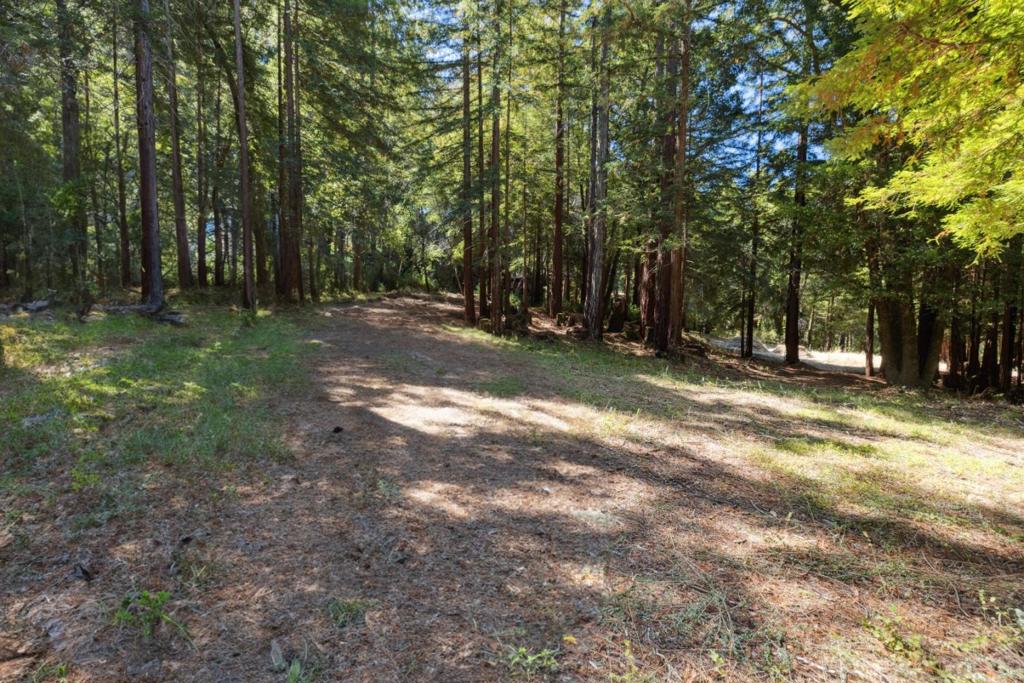 18880 Highway 9 Property Photo 25