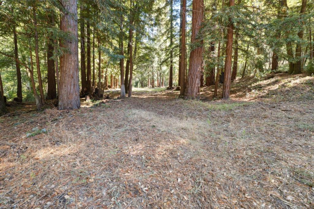 18880 Highway 9 Property Photo 26
